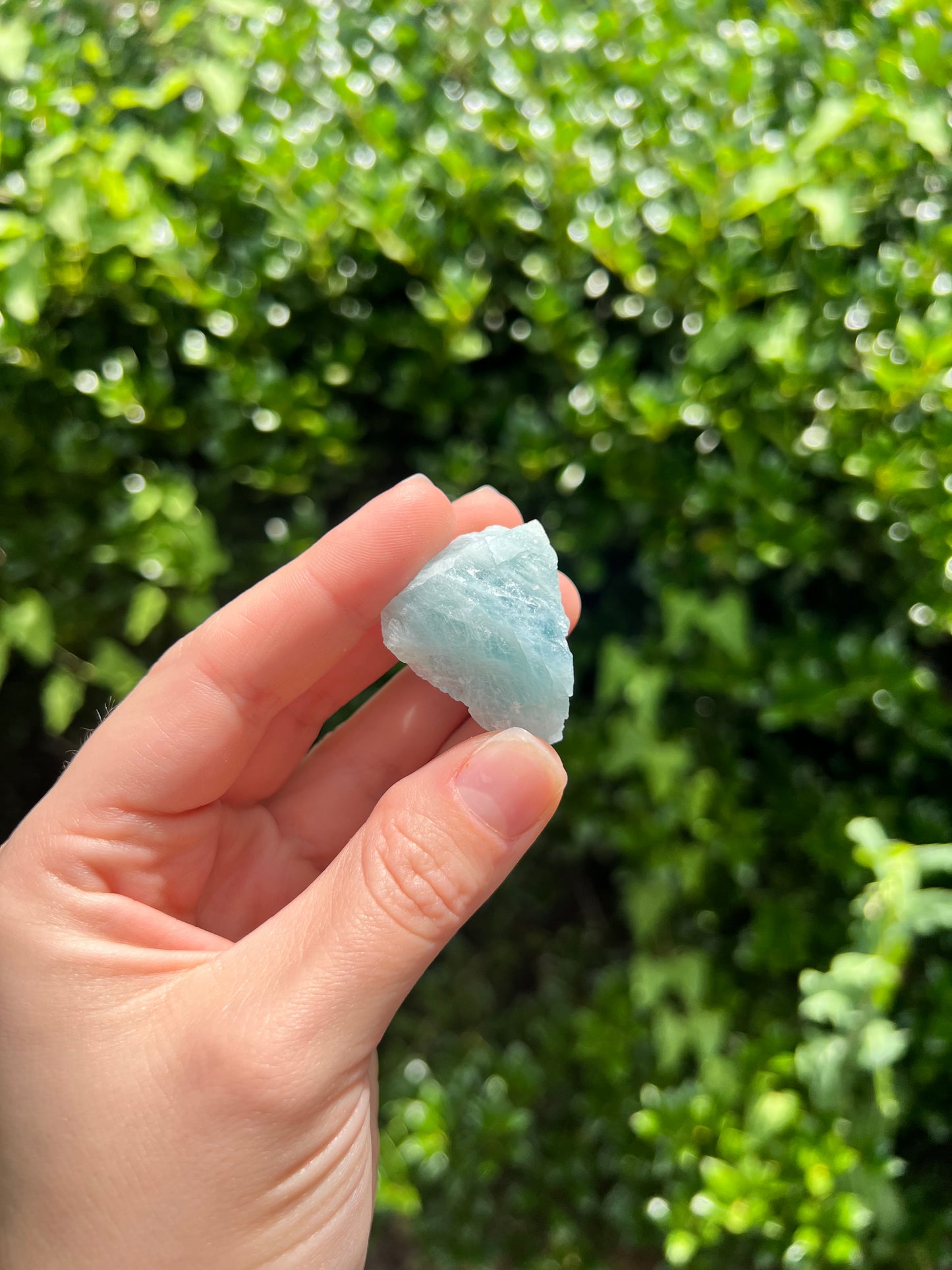 Aquamarine Freeforms - Unique Specimens