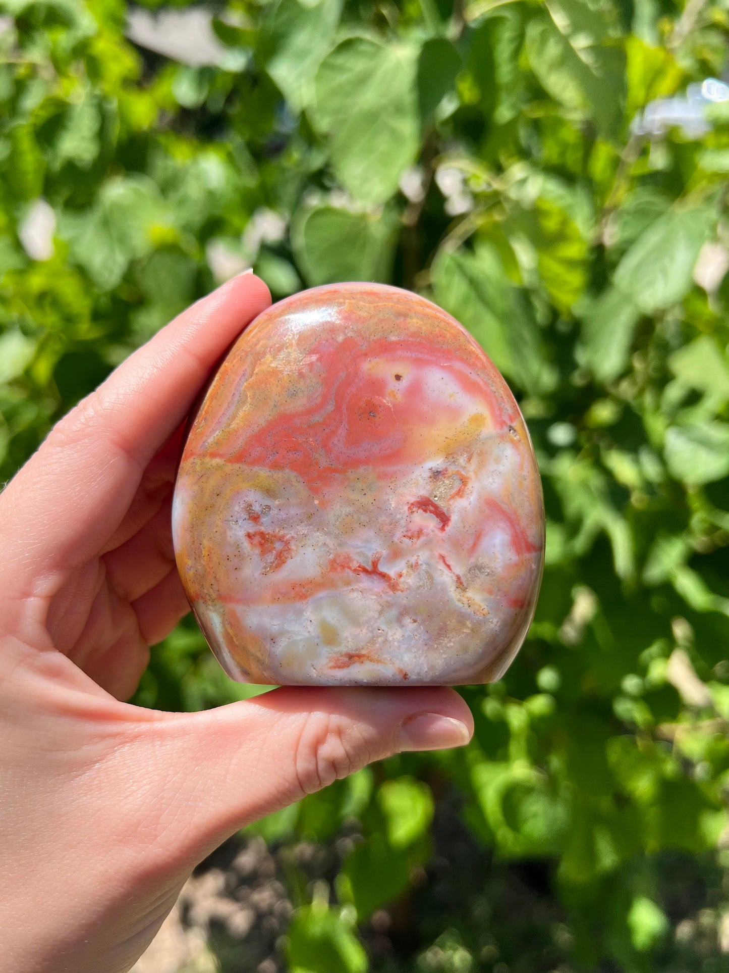 Sea Jasper Freeforms