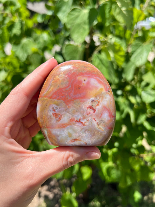 Sea Jasper Freeforms