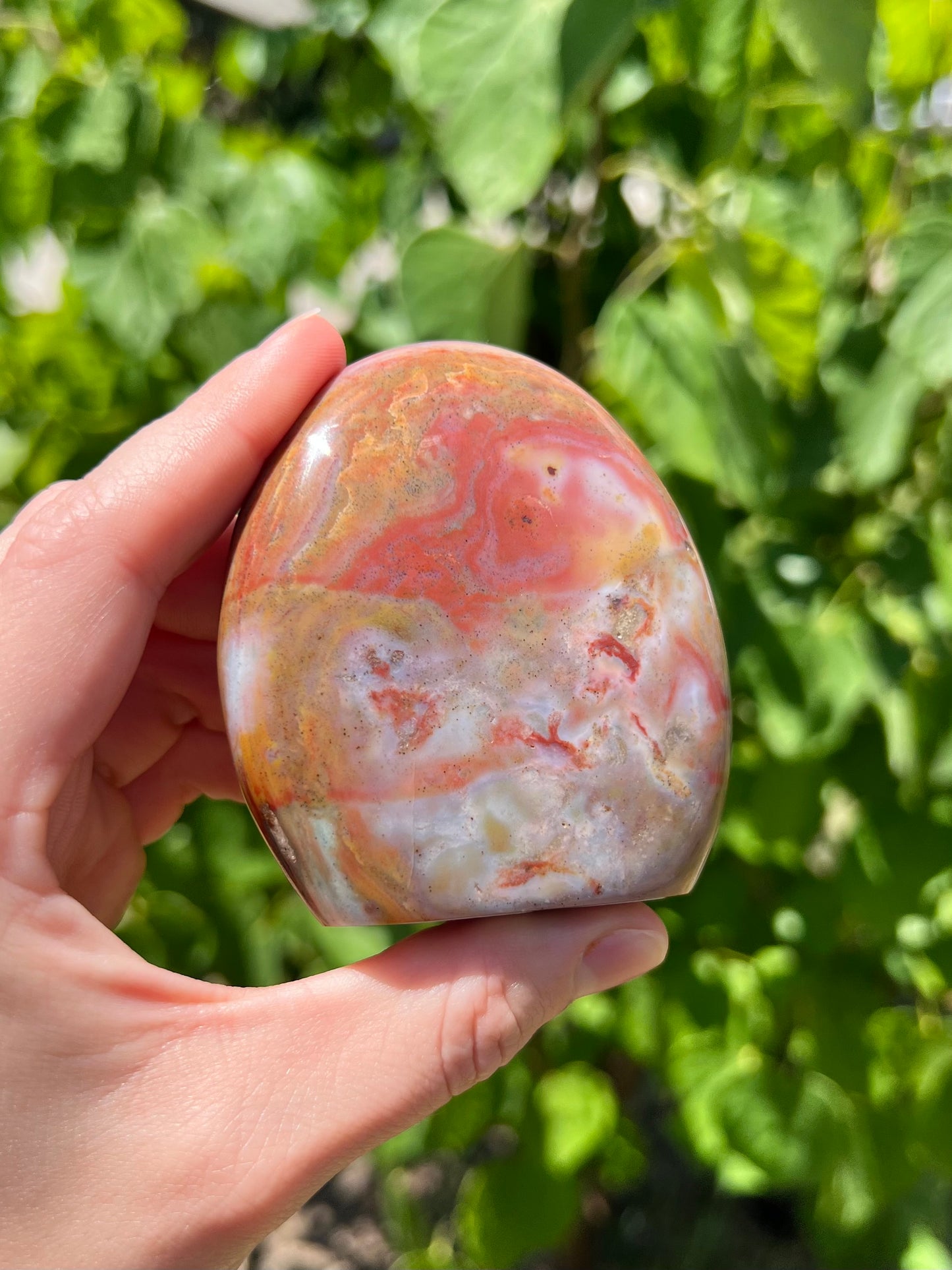 Sea Jasper Freeforms
