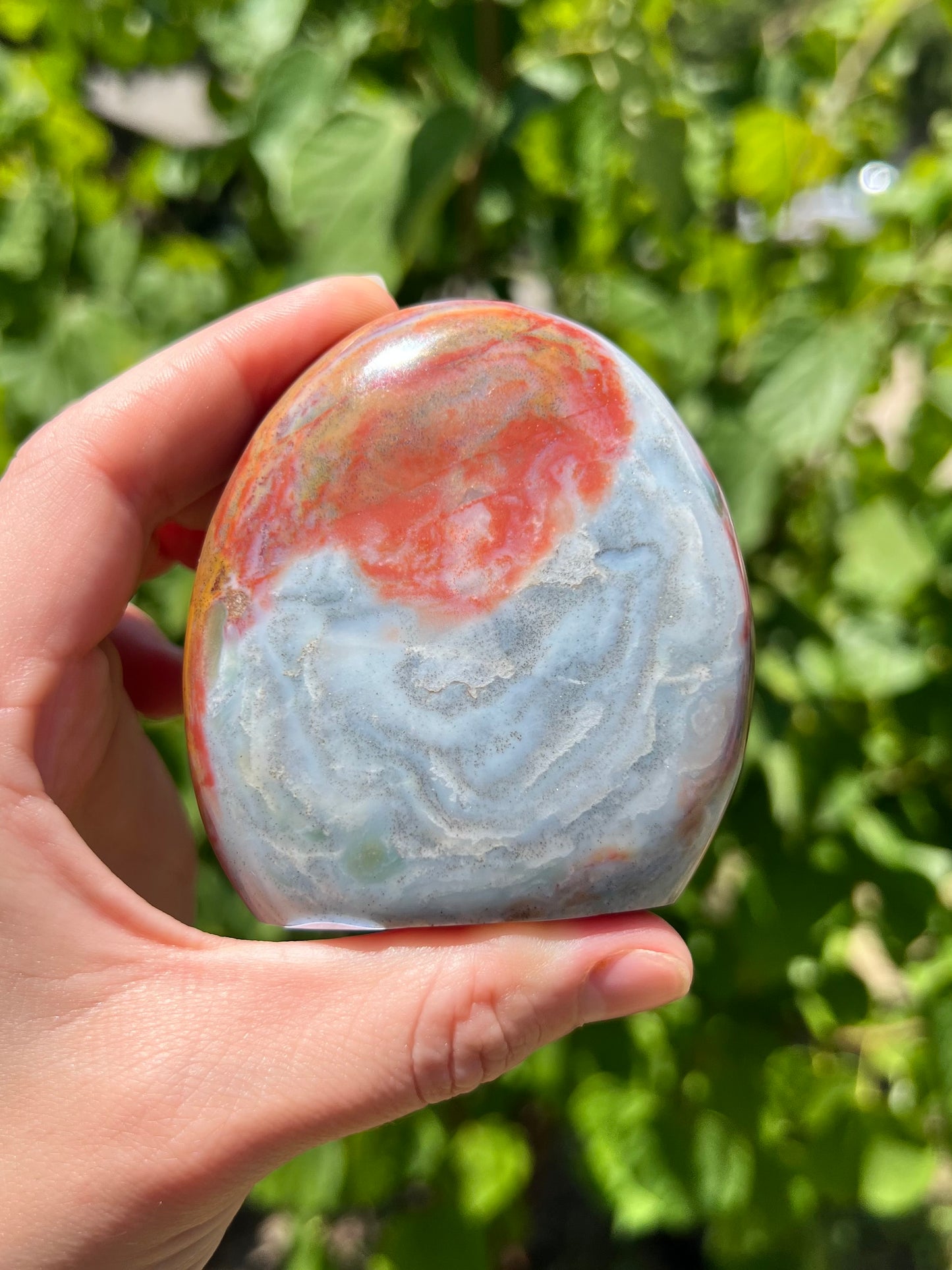 Sea Jasper Freeforms