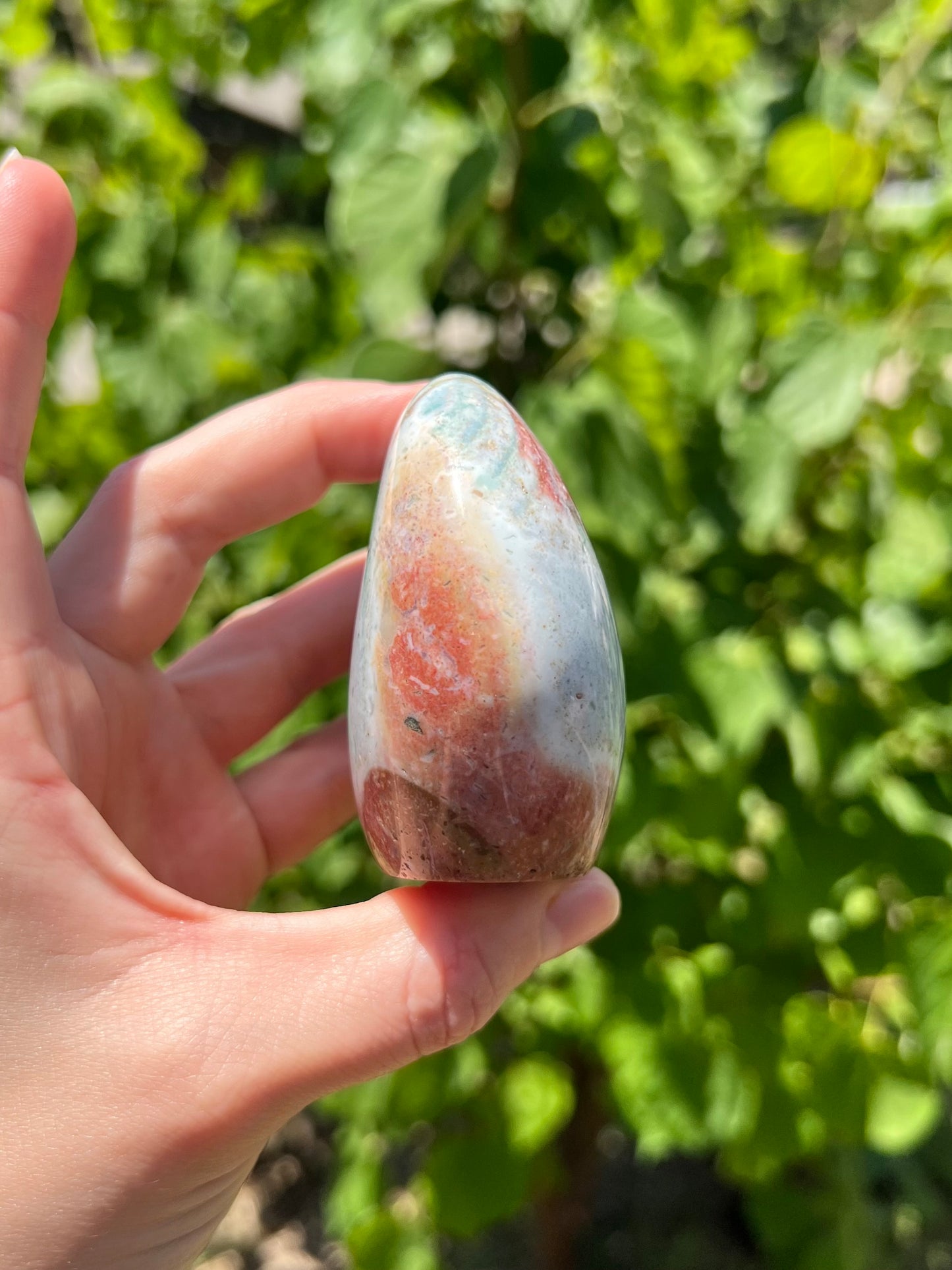 Sea Jasper Freeforms