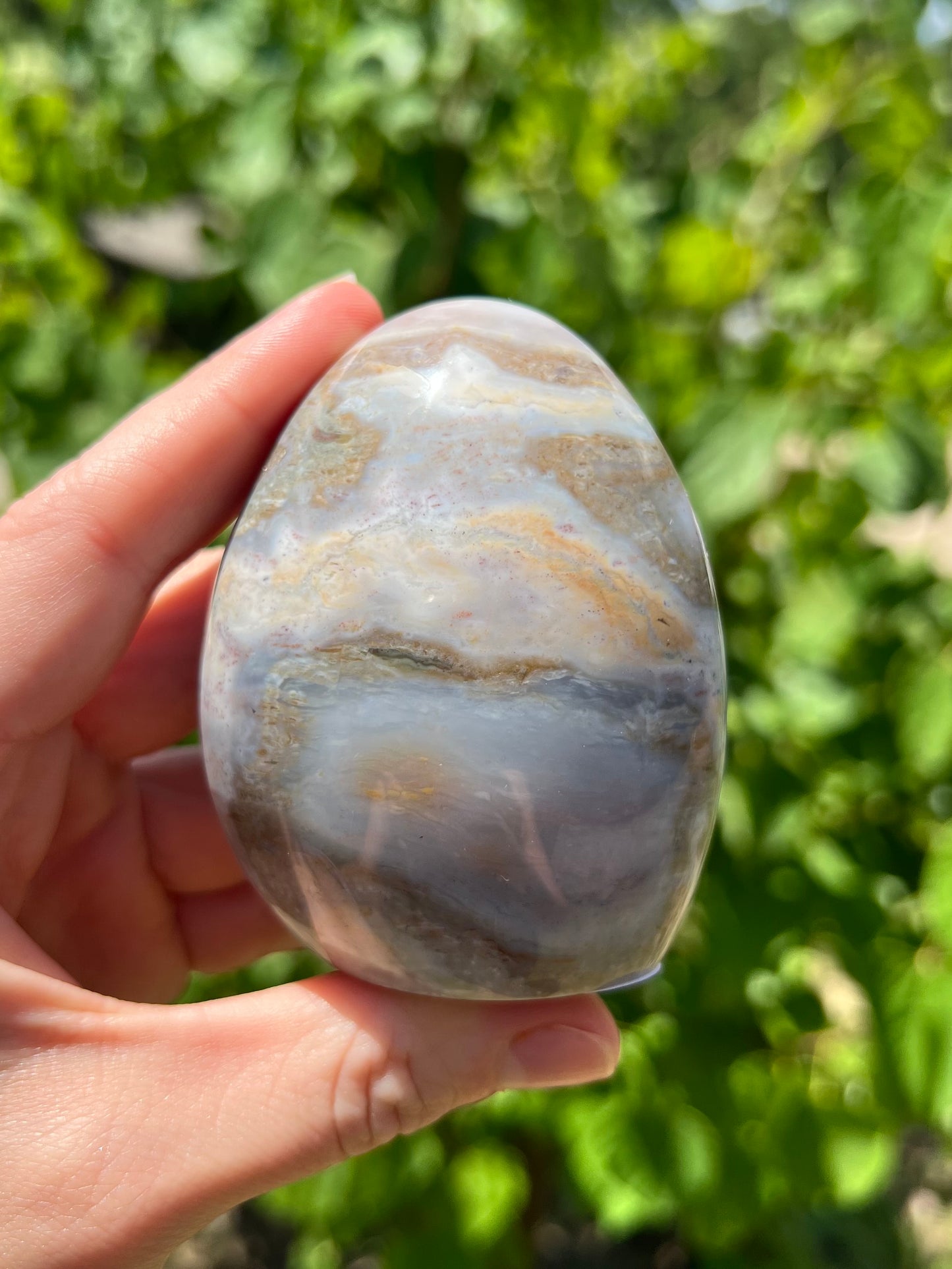 Sea Jasper Freeforms