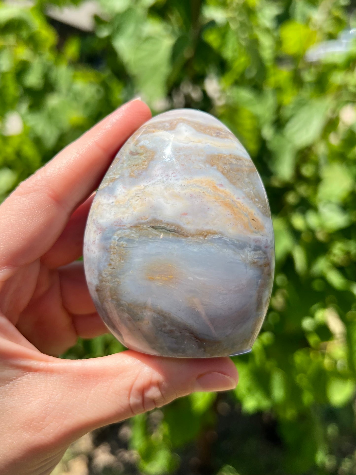 Sea Jasper Freeforms
