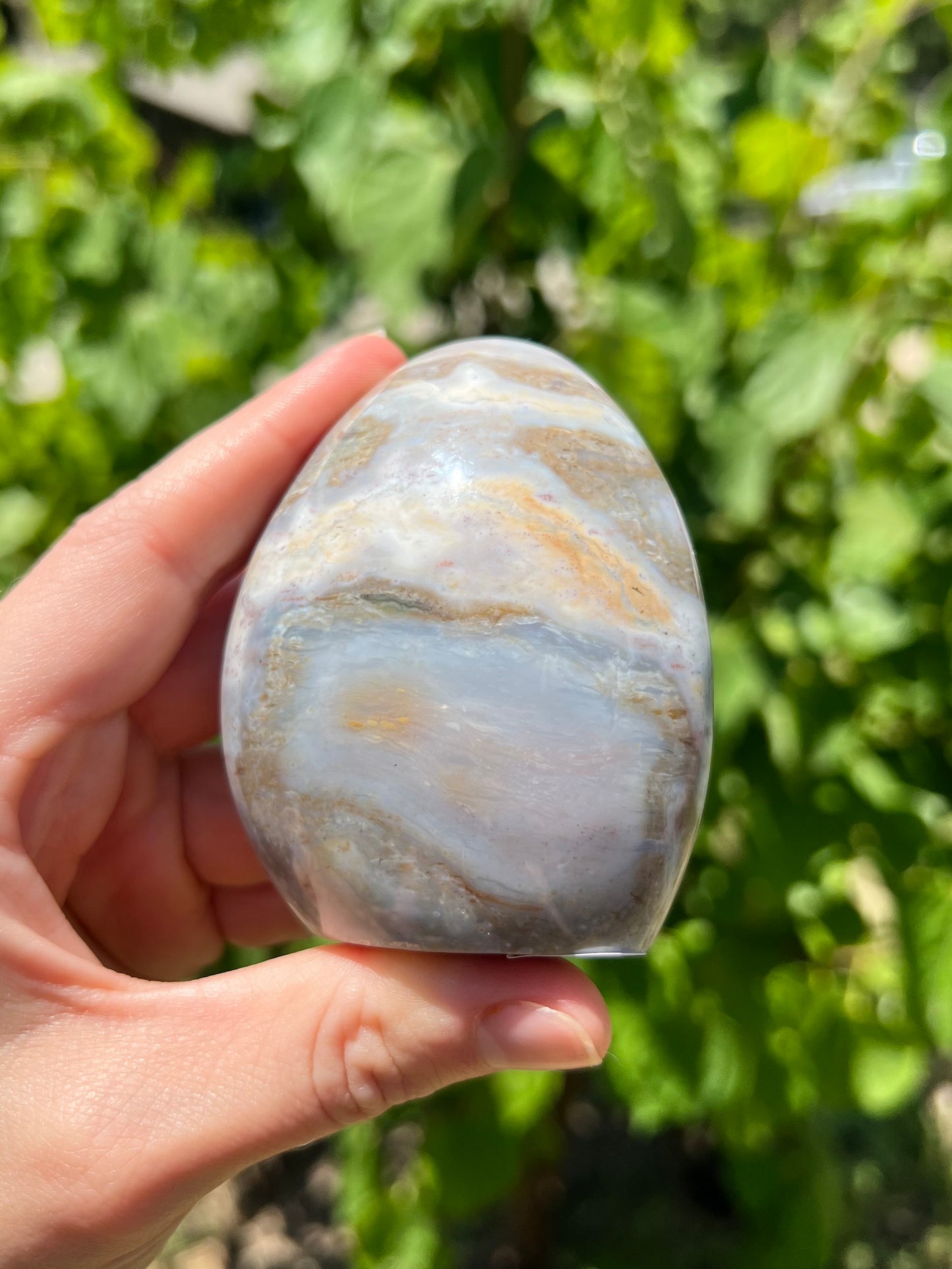 Sea Jasper Freeforms