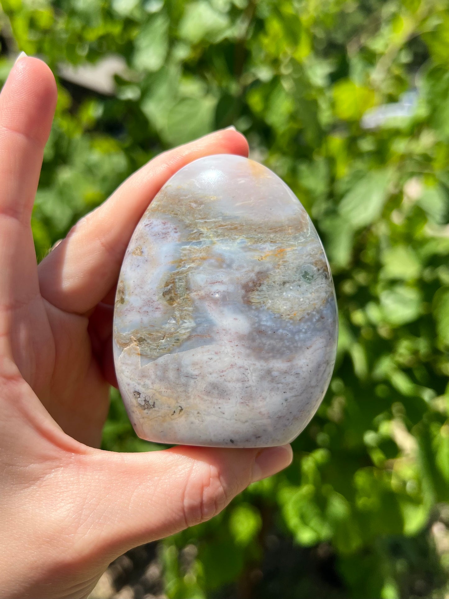 Sea Jasper Freeforms