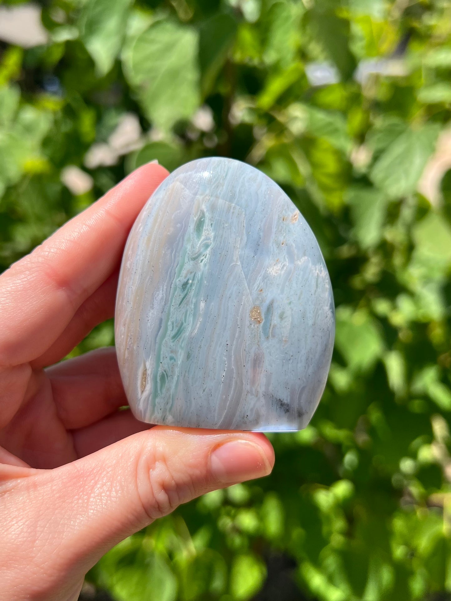 Sea Jasper Freeforms