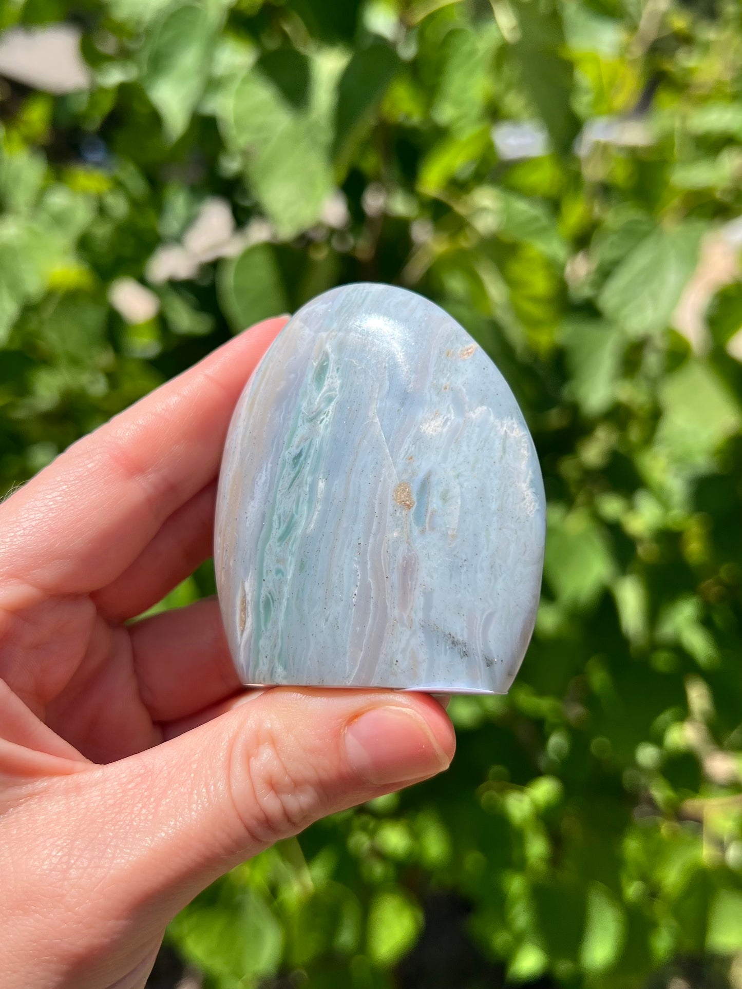 Sea Jasper Freeforms