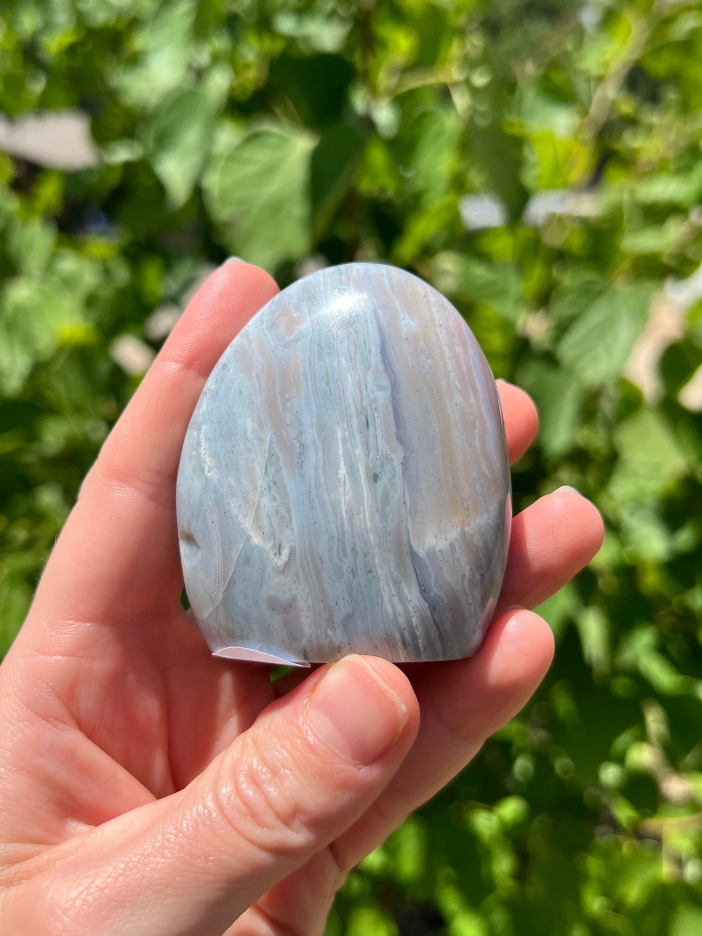 Sea Jasper Freeforms