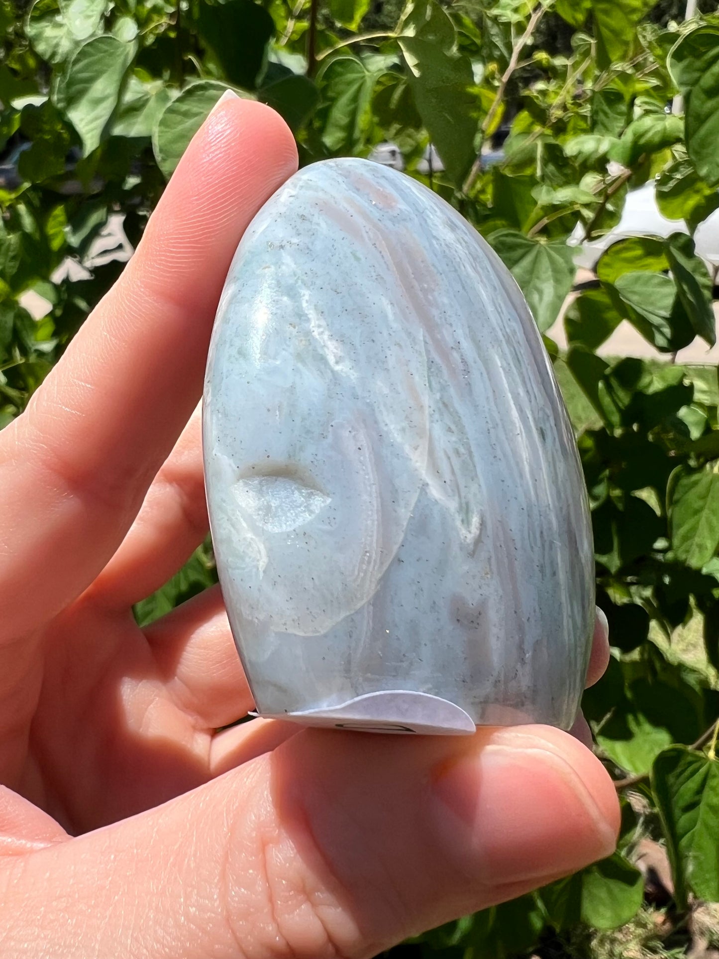 Sea Jasper Freeforms