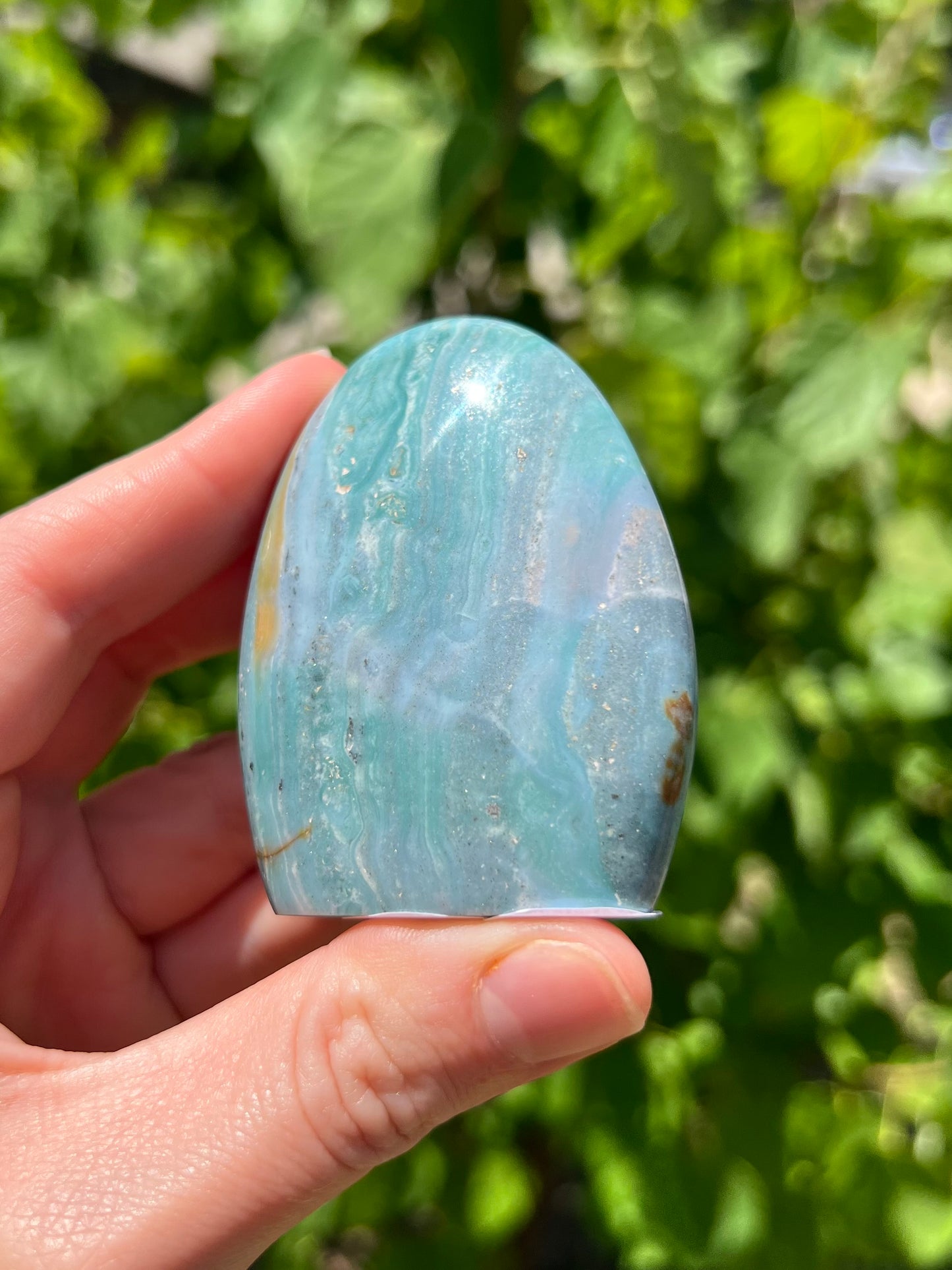 Sea Jasper Freeforms
