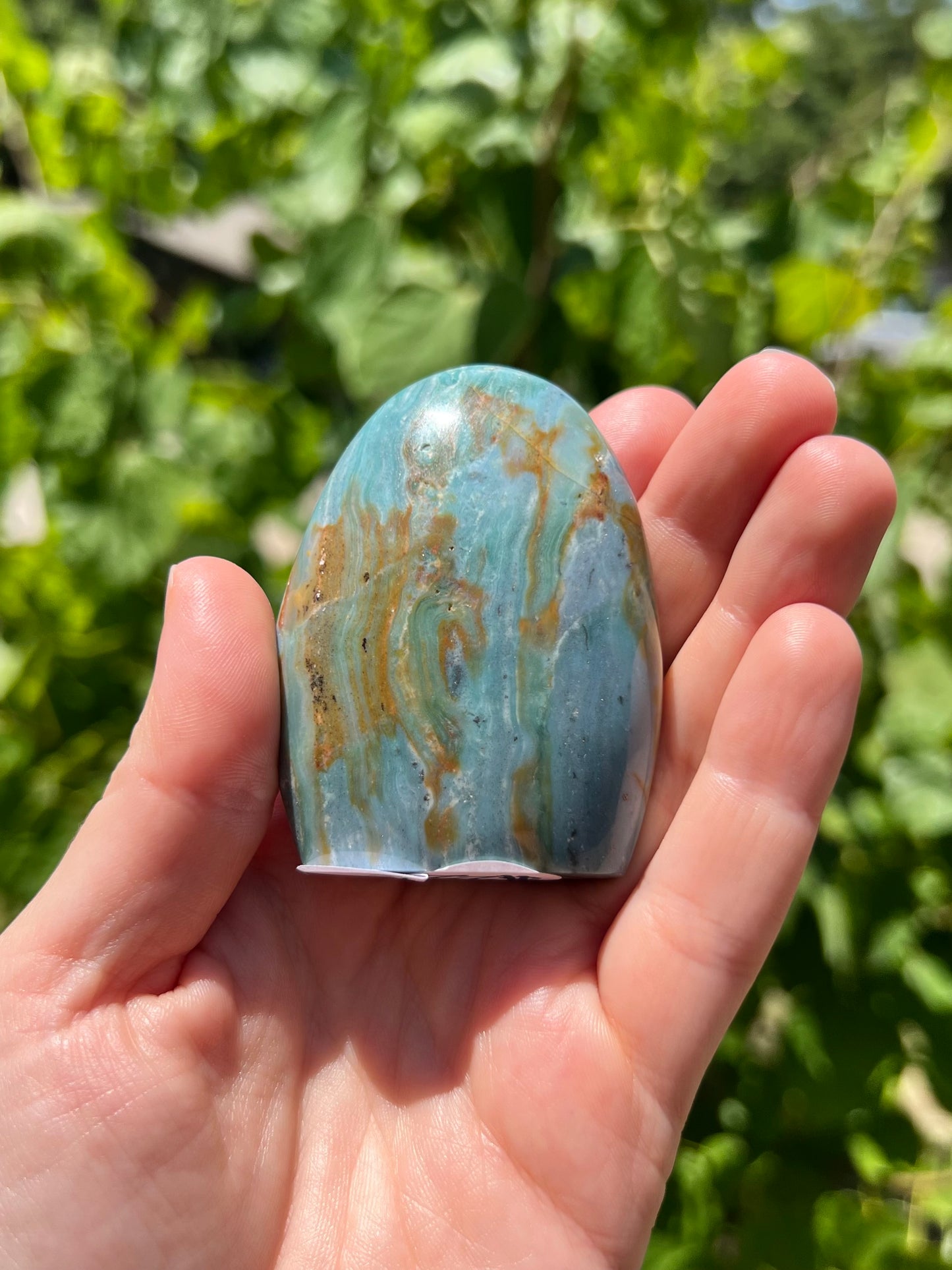 Sea Jasper Freeforms