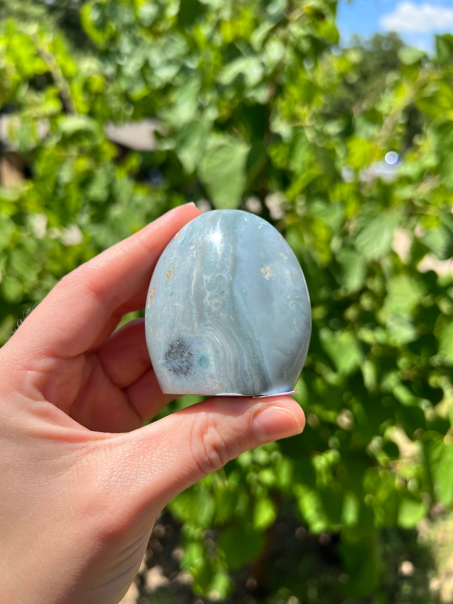 Sea Jasper Freeforms