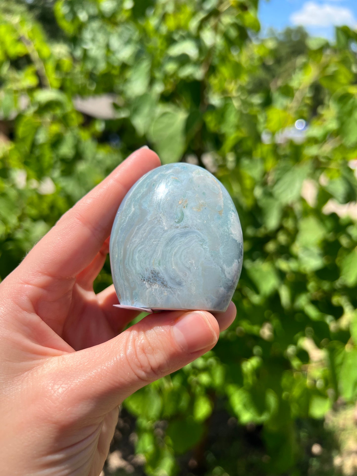 Sea Jasper Freeforms