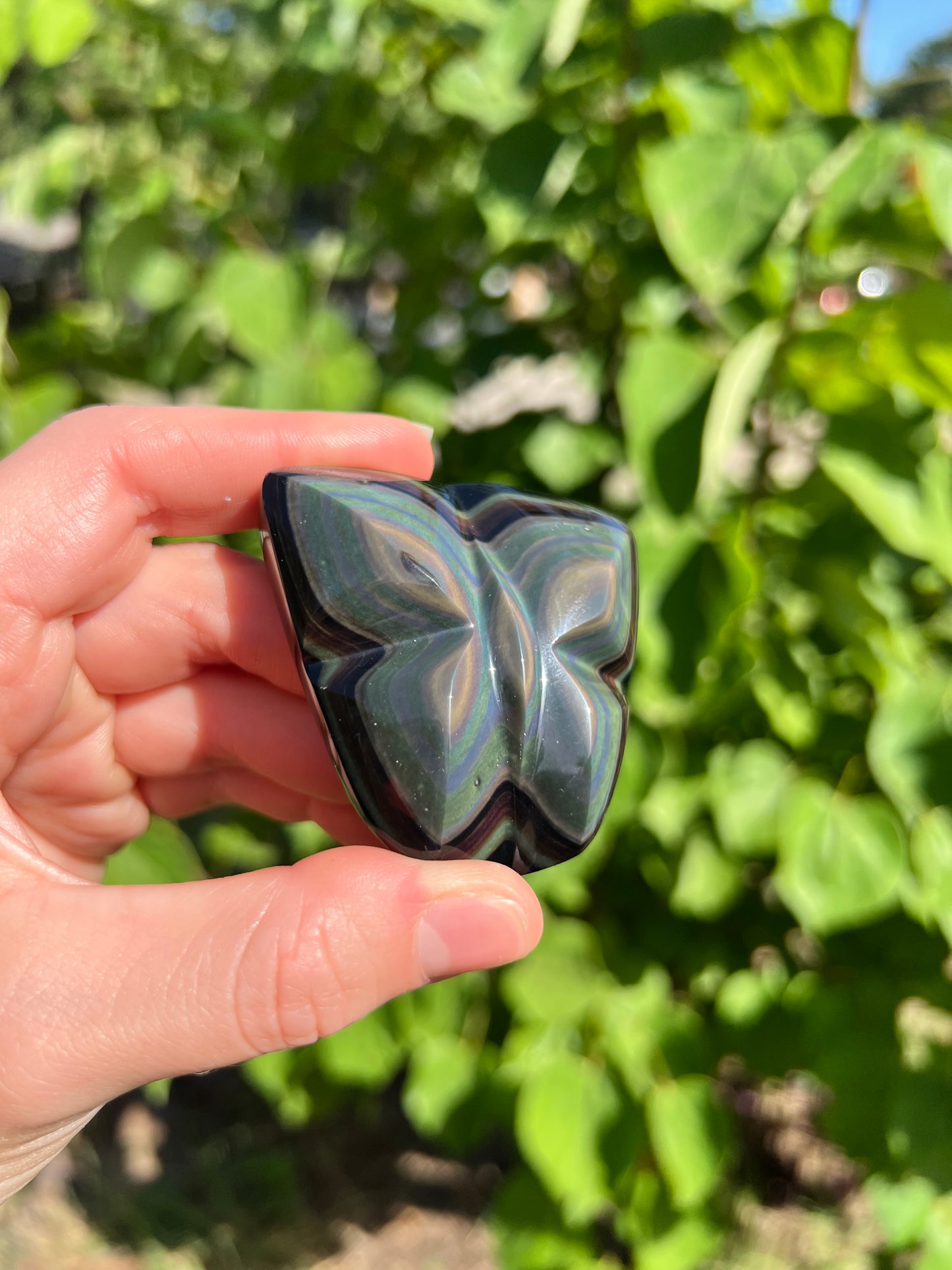 Rainbow Obsidian Butterfly Carvings