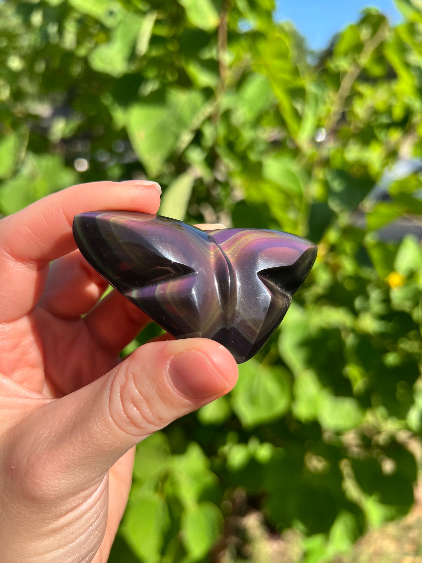 Rainbow Obsidian Butterfly Carvings