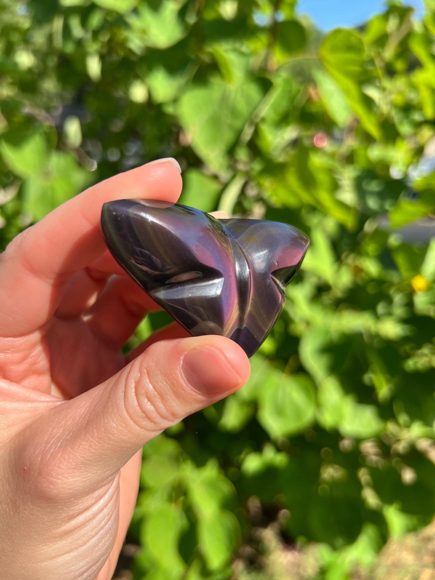 Rainbow Obsidian Butterfly Carvings