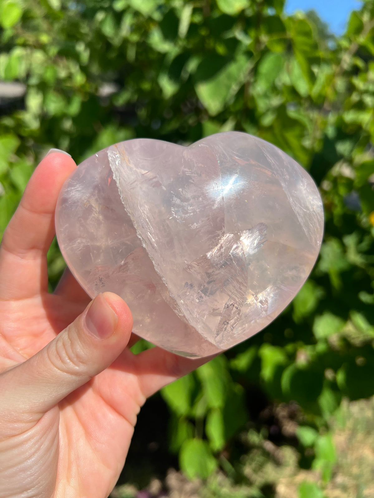 Rose Quartz Hearts with Asterisms