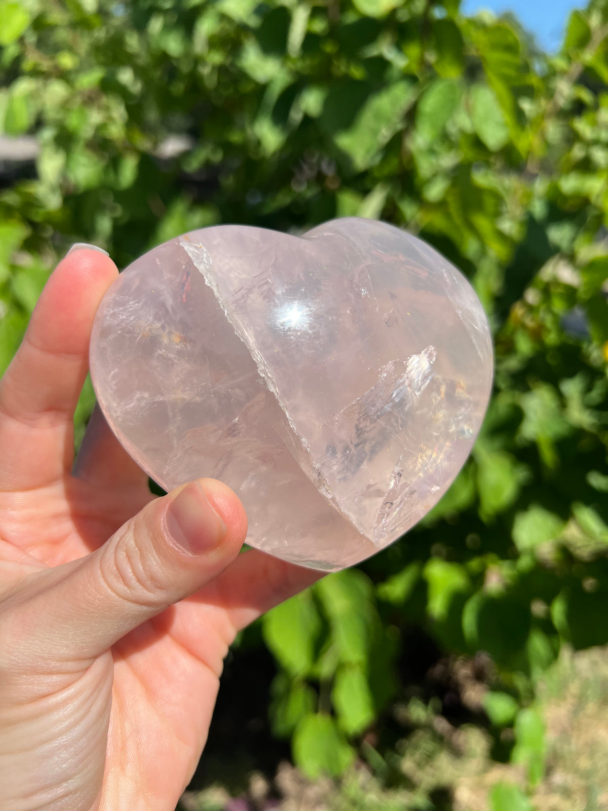 Rose Quartz Hearts with Asterisms