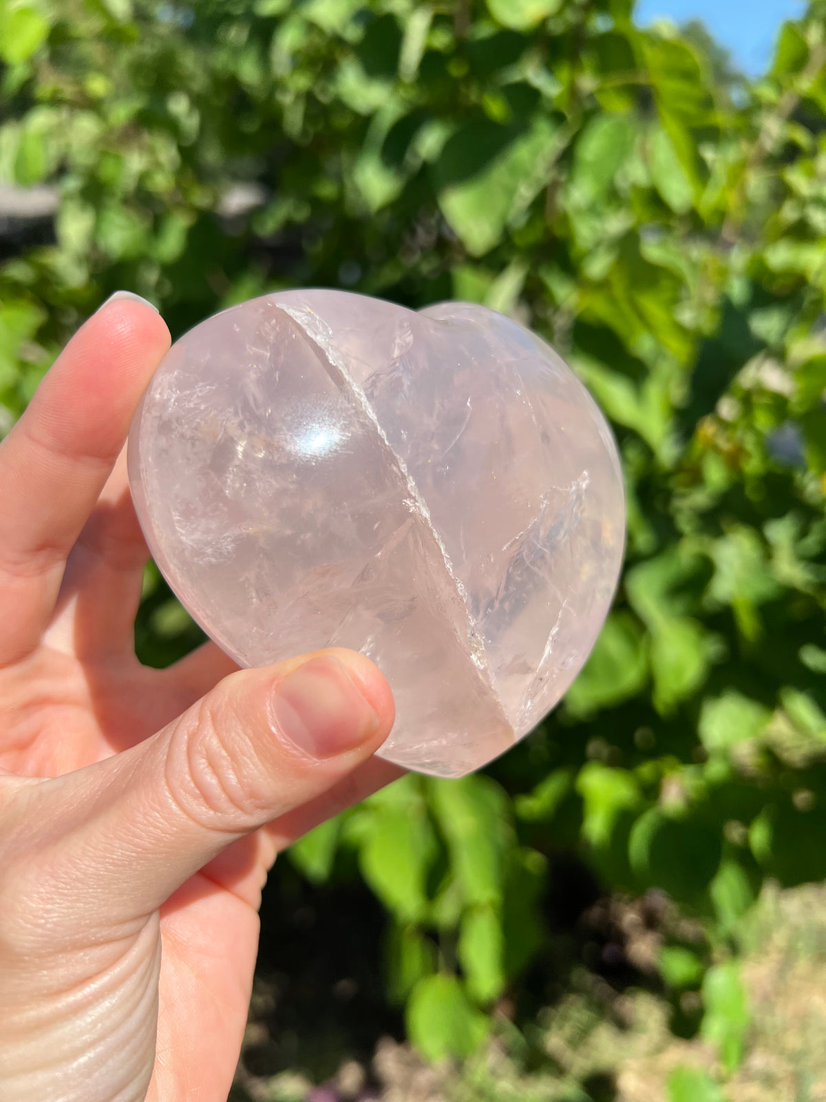 Rose Quartz Hearts with Asterisms