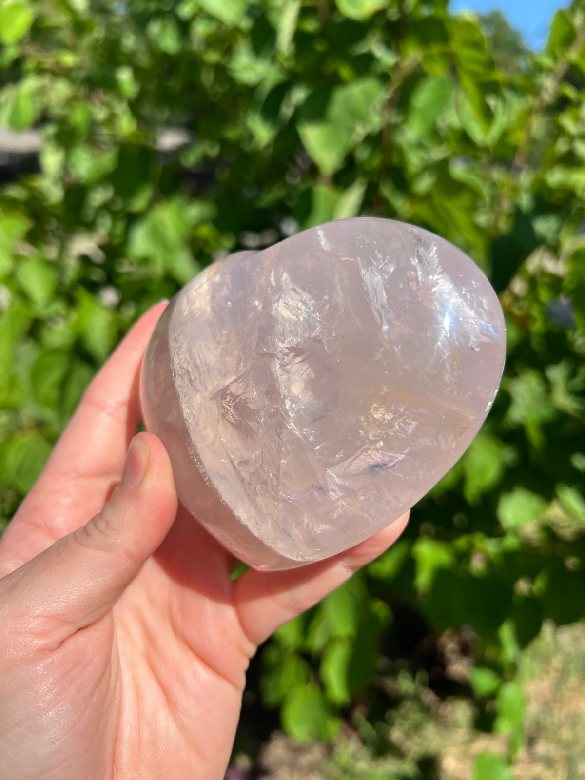 Rose Quartz Hearts with Asterisms