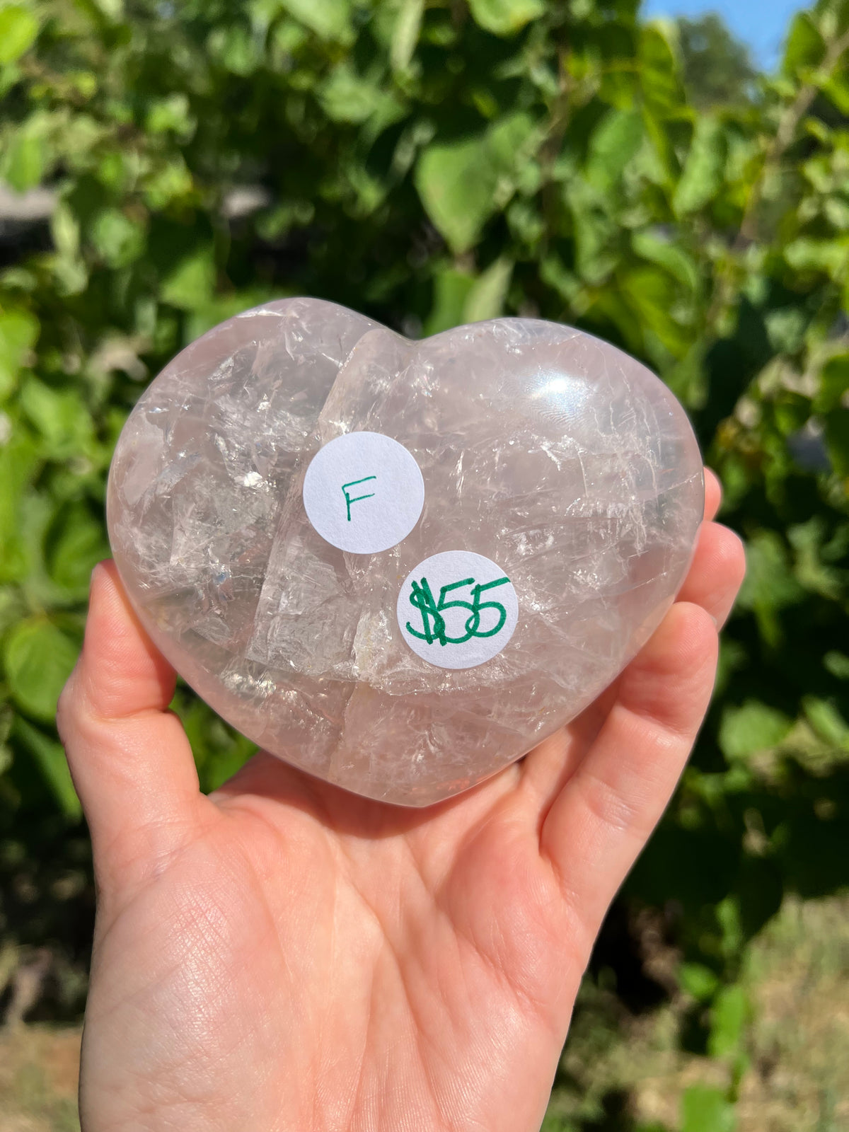 Rose Quartz Hearts with Asterisms