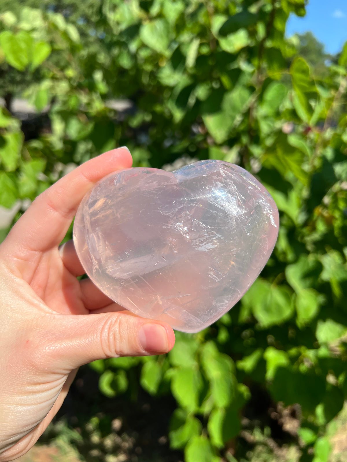 Rose Quartz Hearts with Asterisms