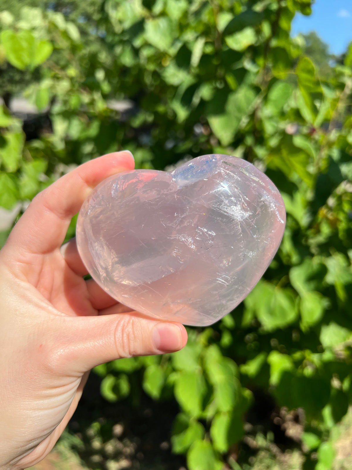 Rose Quartz Hearts with Asterisms