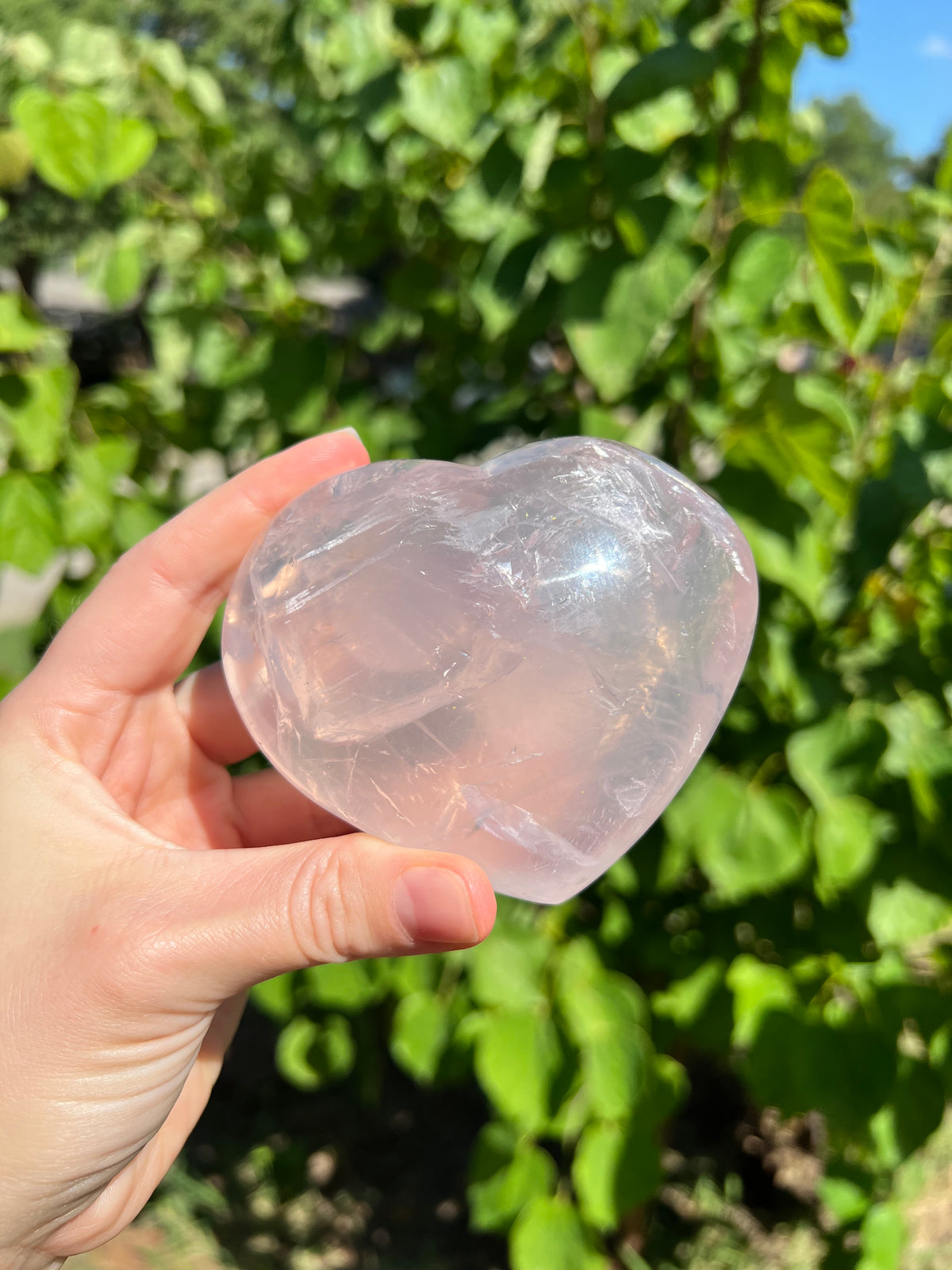 Rose Quartz Hearts with Asterisms