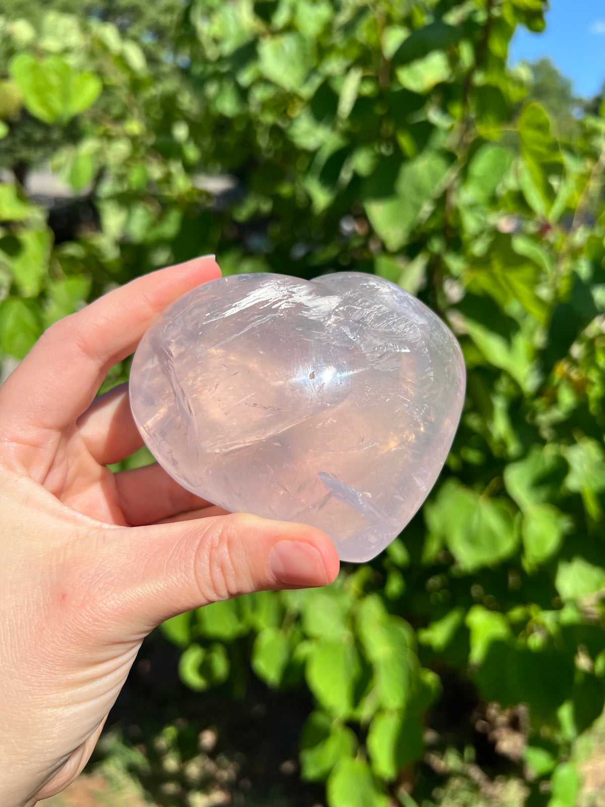 Rose Quartz Hearts with Asterisms