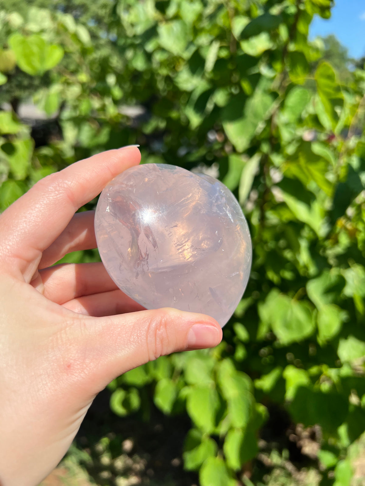 Rose Quartz Hearts with Asterisms
