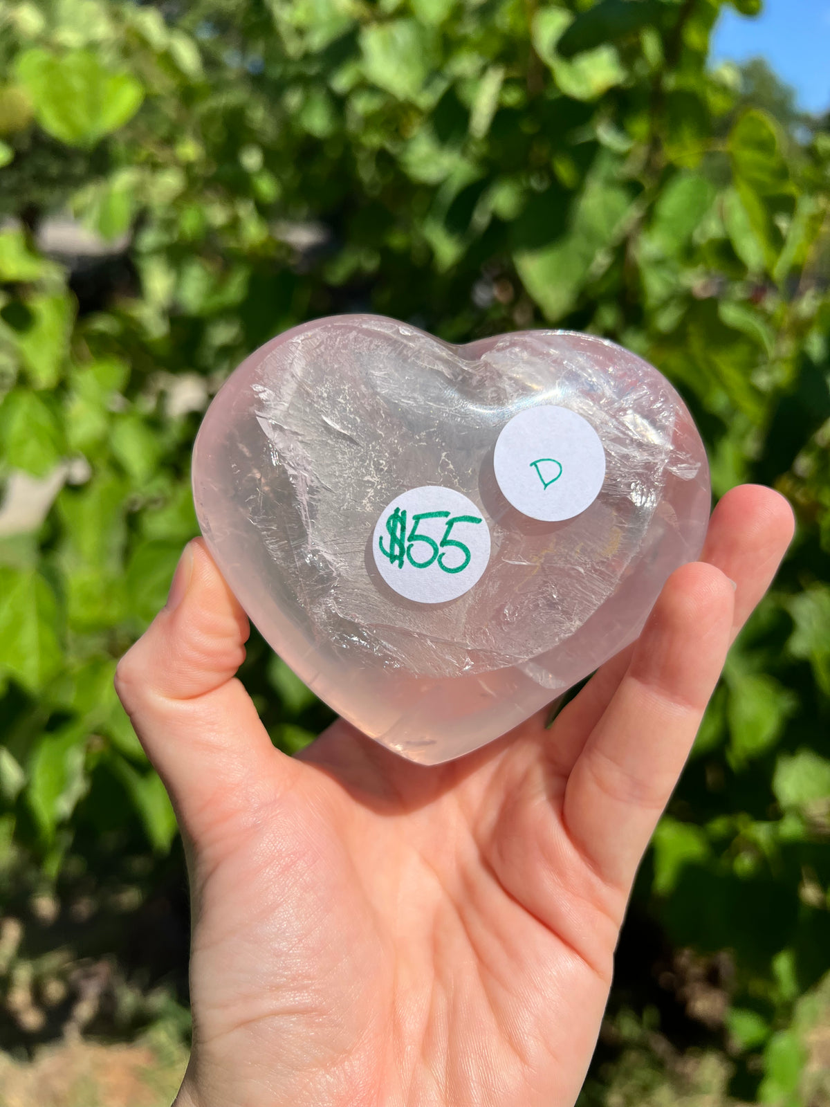 Rose Quartz Hearts with Asterisms