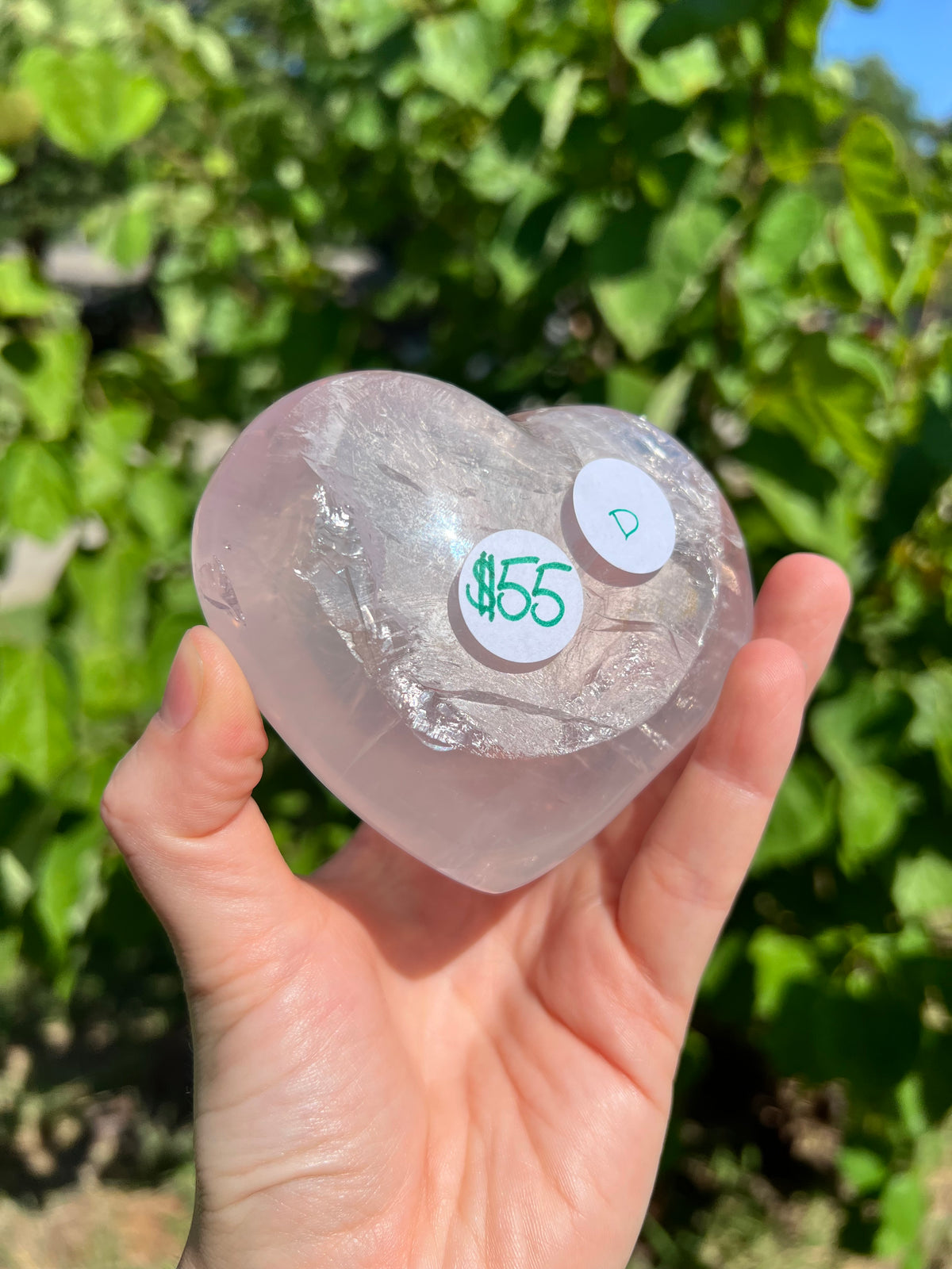 Rose Quartz Hearts with Asterisms