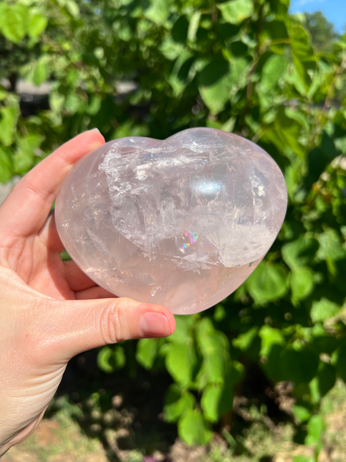 Rose Quartz Hearts with Asterisms