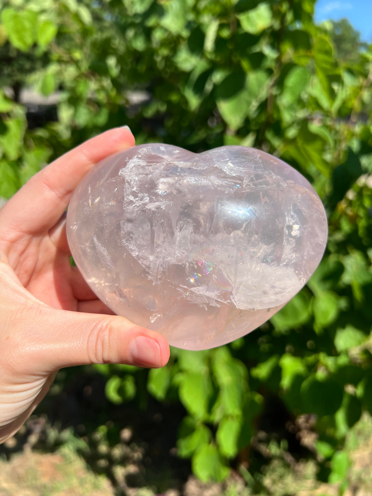 Rose Quartz Hearts with Asterisms