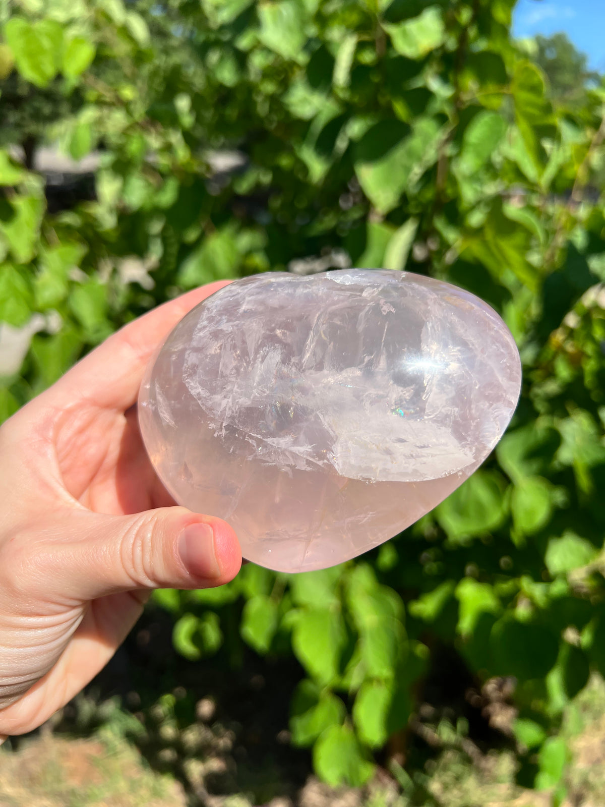 Rose Quartz Hearts with Asterisms