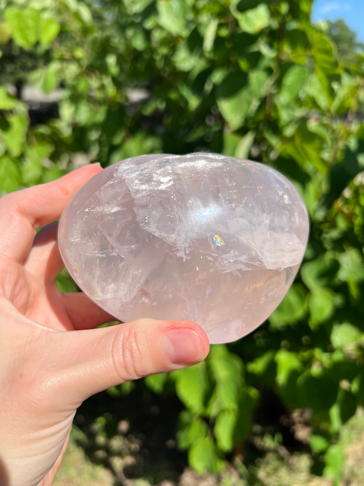 Rose Quartz Hearts with Asterisms