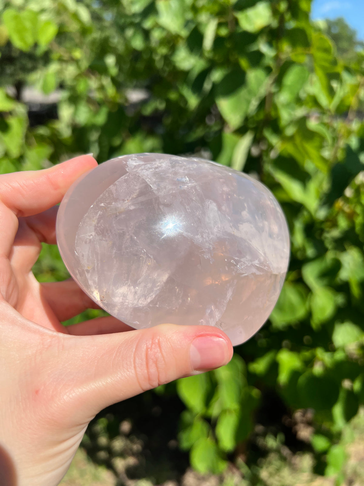 Rose Quartz Hearts with Asterisms