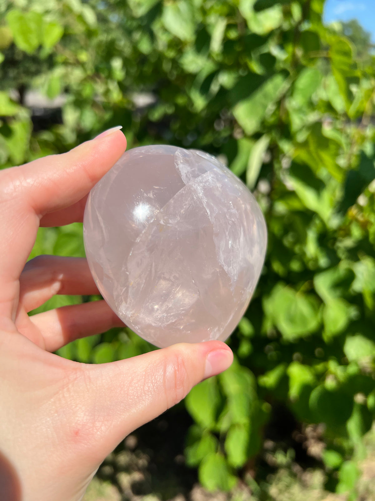 Rose Quartz Hearts with Asterisms