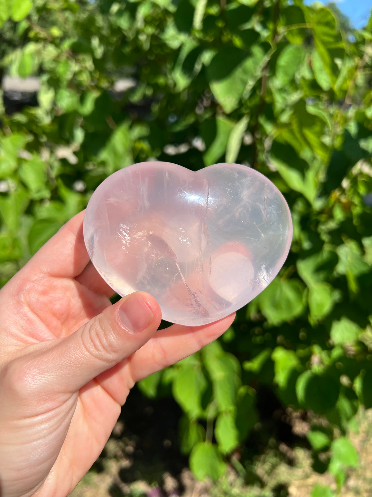Rose Quartz Hearts with Asterisms