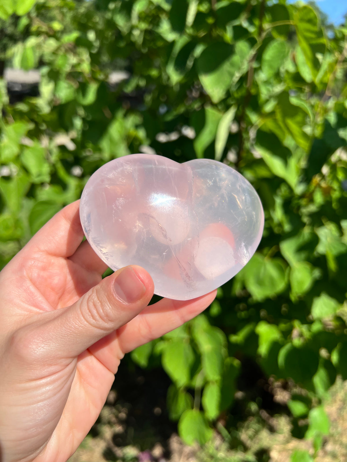 Rose Quartz Hearts with Asterisms