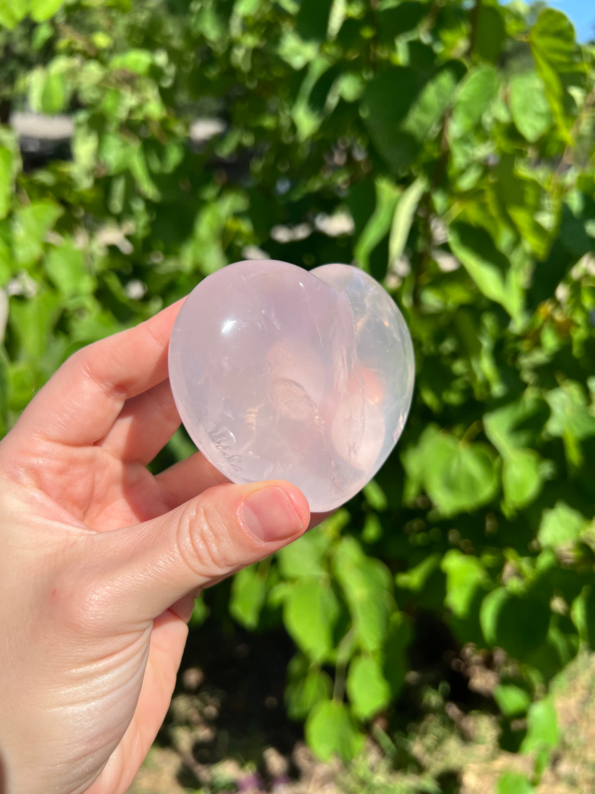 Rose Quartz Hearts with Asterisms