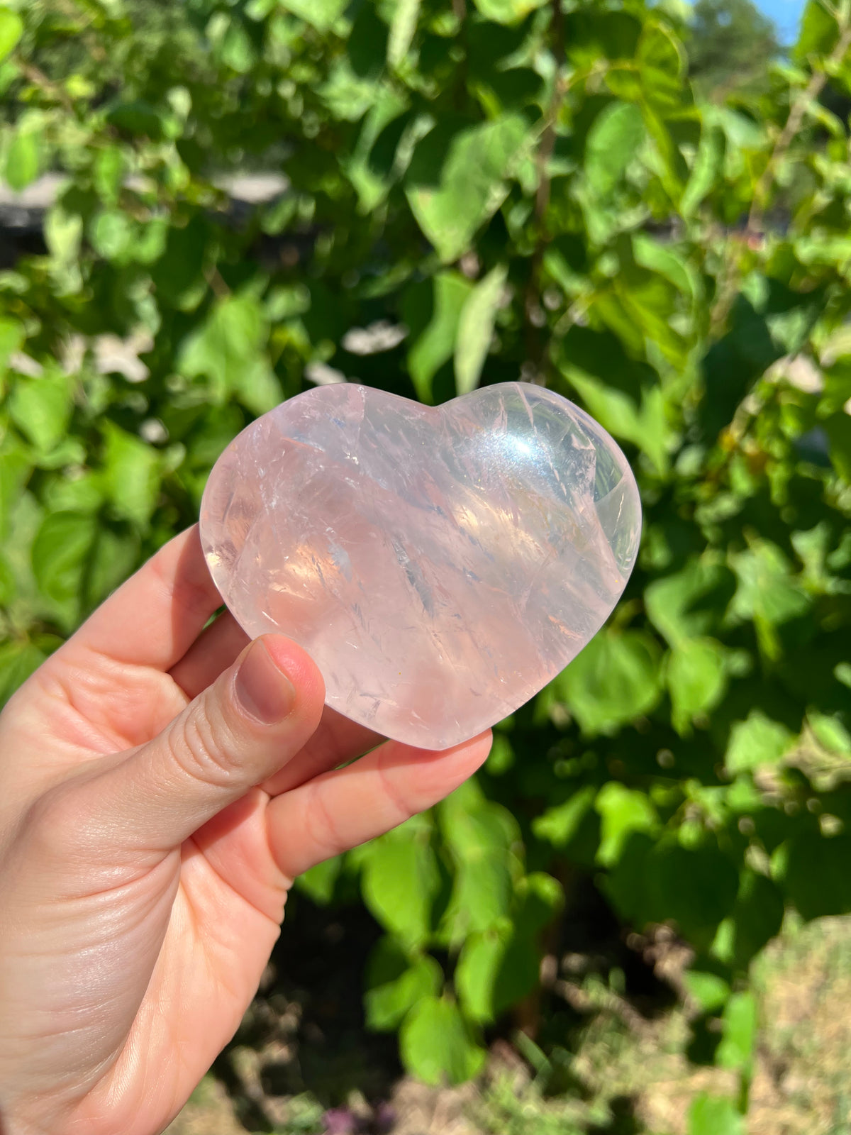 Rose Quartz Hearts with Asterisms