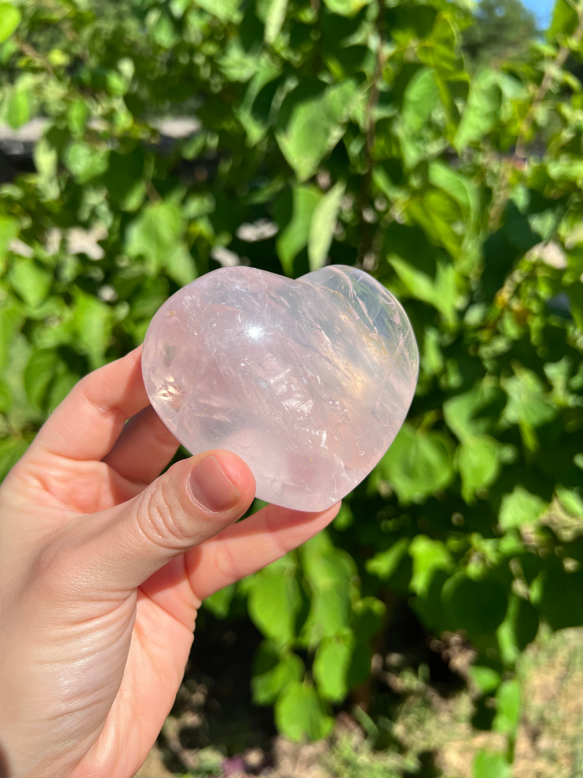 Rose Quartz Hearts with Asterisms