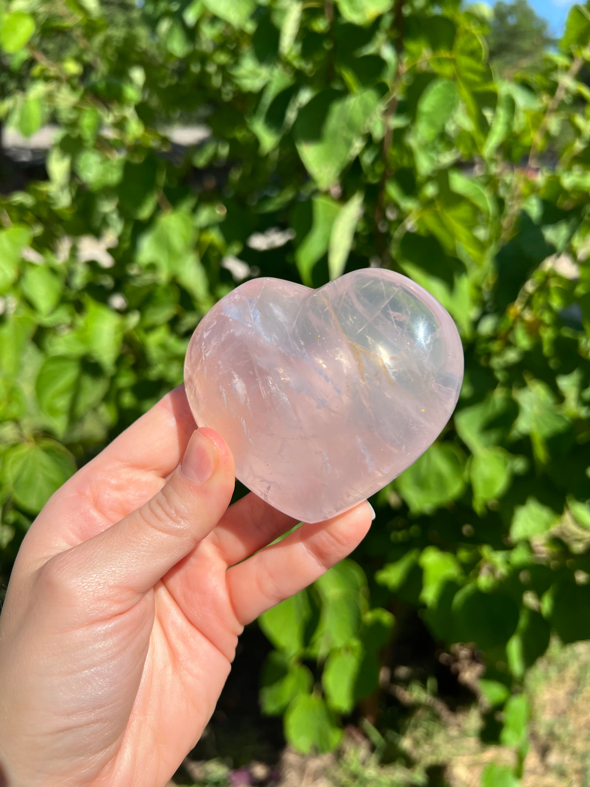 Rose Quartz Hearts with Asterisms