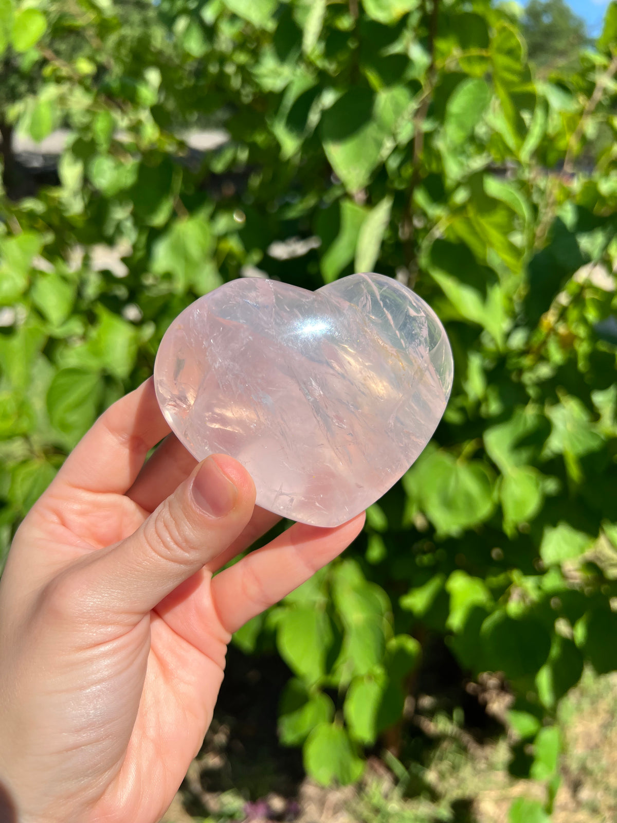 Rose Quartz Hearts with Asterisms
