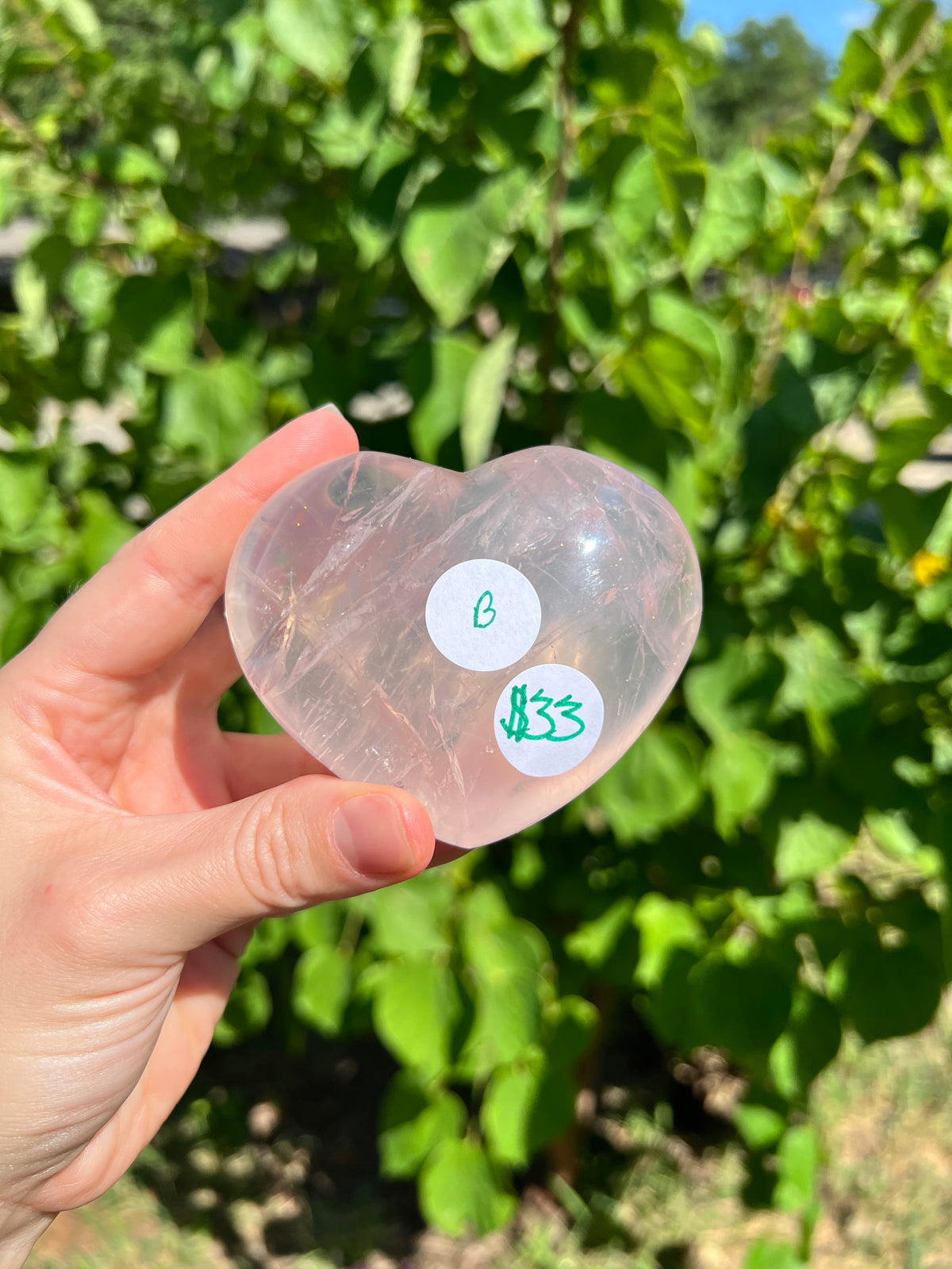 Rose Quartz Hearts with Asterisms
