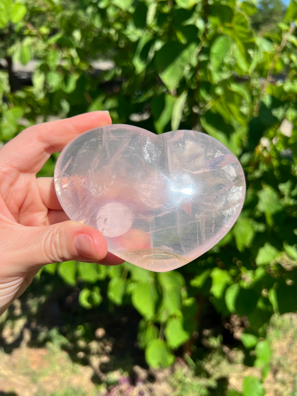 Rose Quartz Hearts with Asterisms