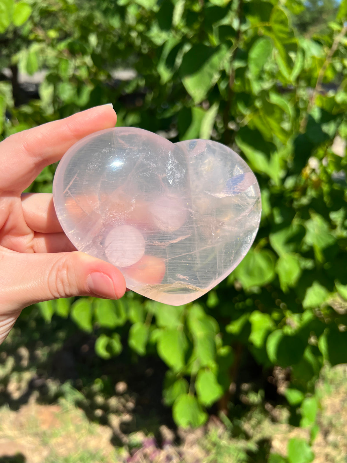 Rose Quartz Hearts with Asterisms