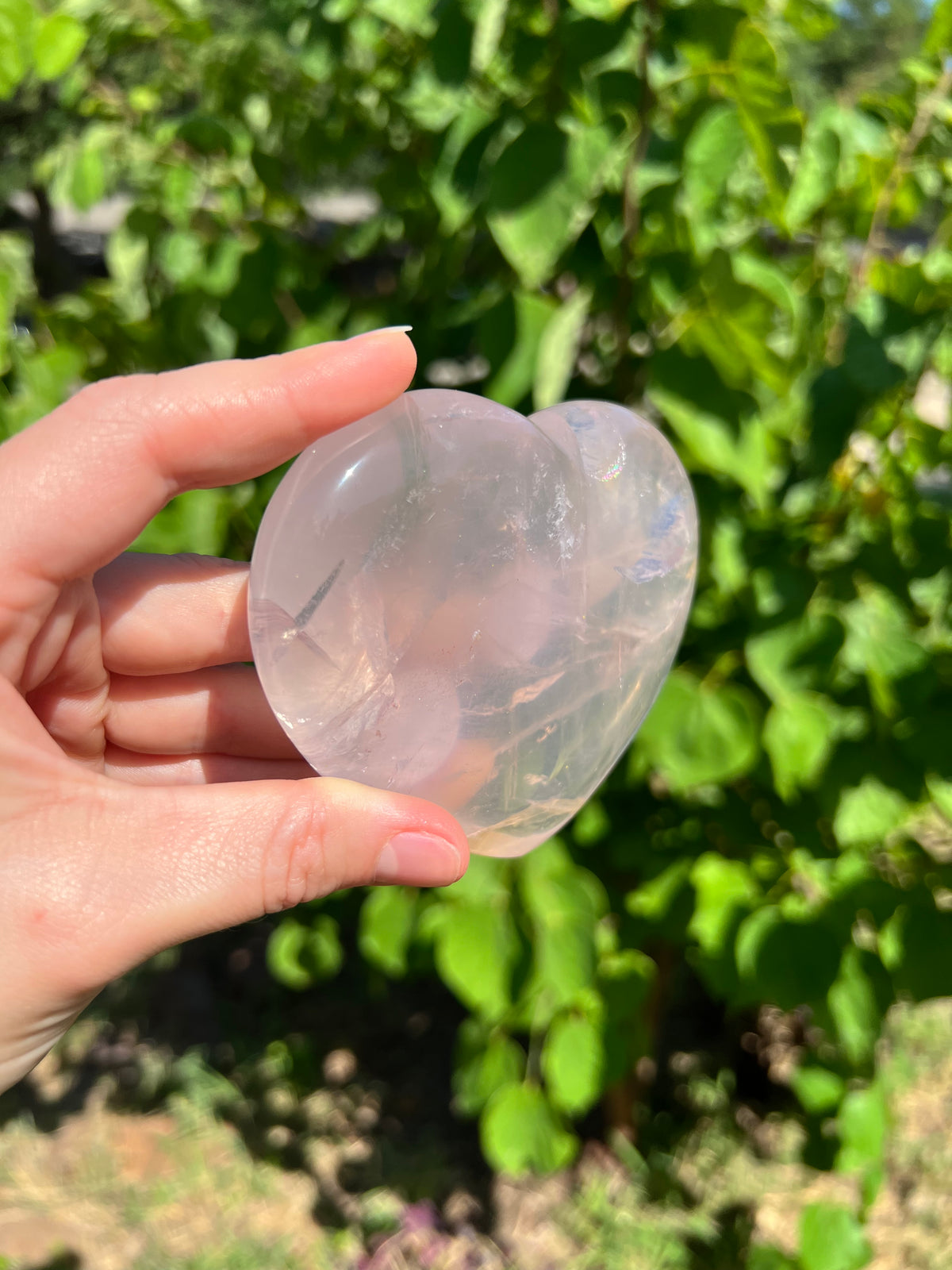 Rose Quartz Hearts with Asterisms